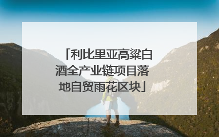 利比里亚高粱白酒全产业链项目落地自贸雨花区块
